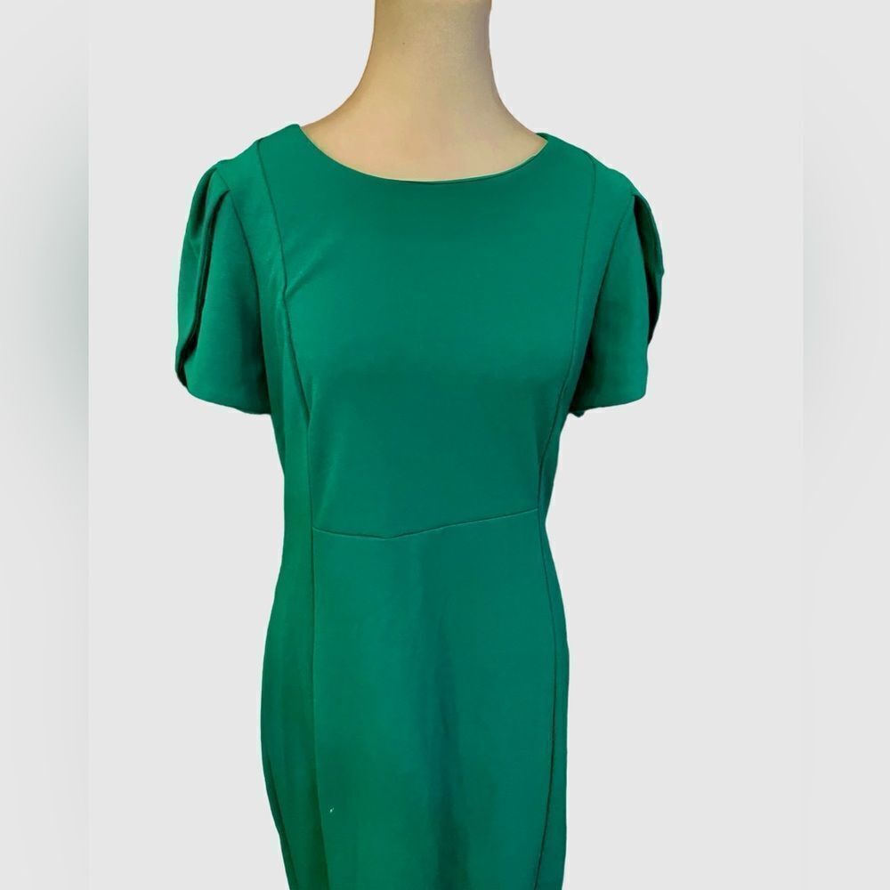 NWT GORGEOUS KELLY GREEN TULIP SLEEVE DRESS